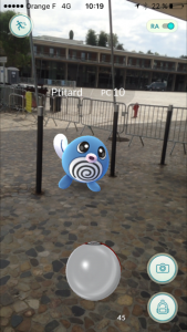 Un petit tétard trouvé devant l'Hôtel de ville proche du Lez.