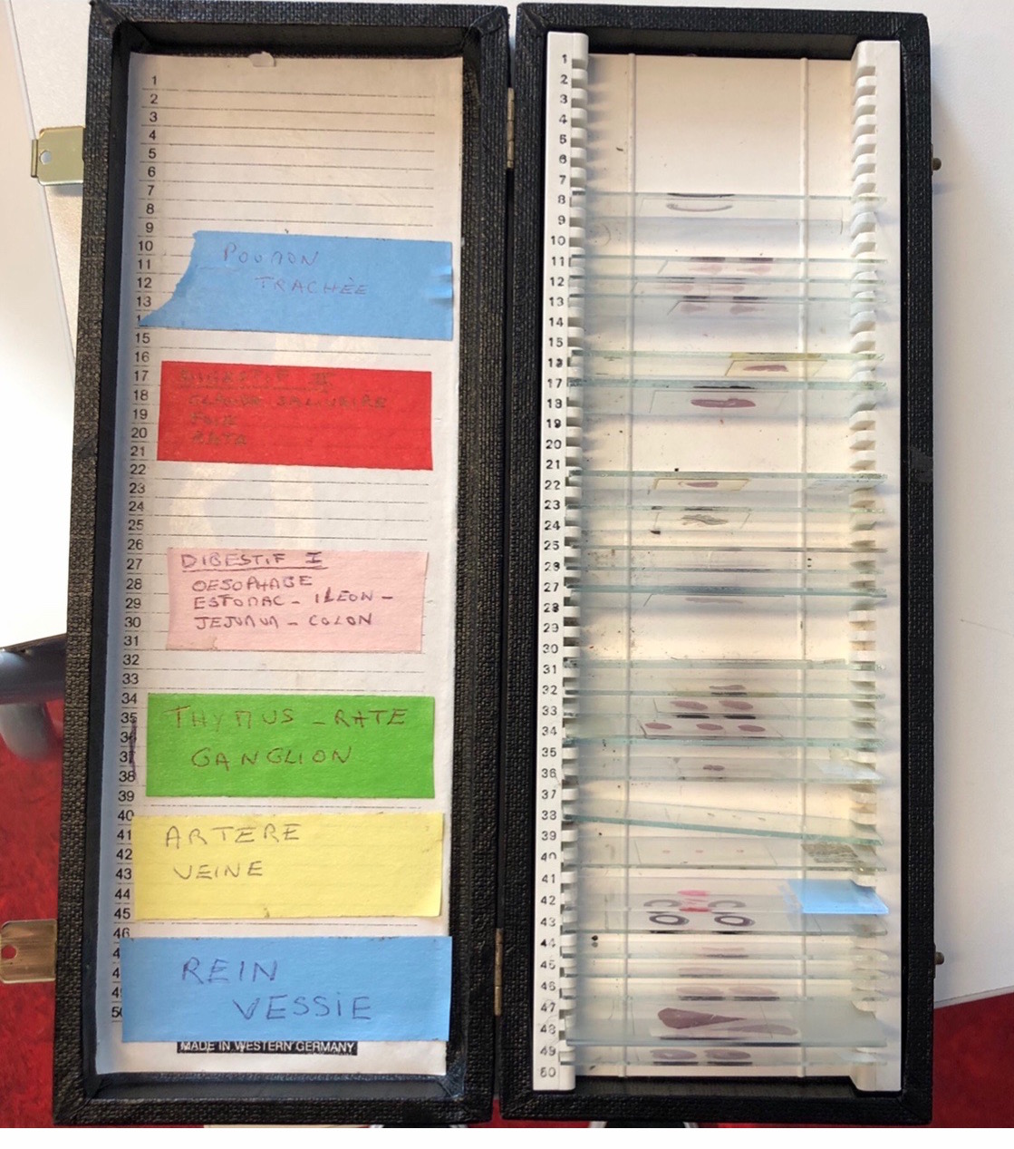 Zoom lames classiques. C.P : M.A