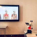 Aperçu du site internet d'hislogie et pathologie des organes. C.P : M.A