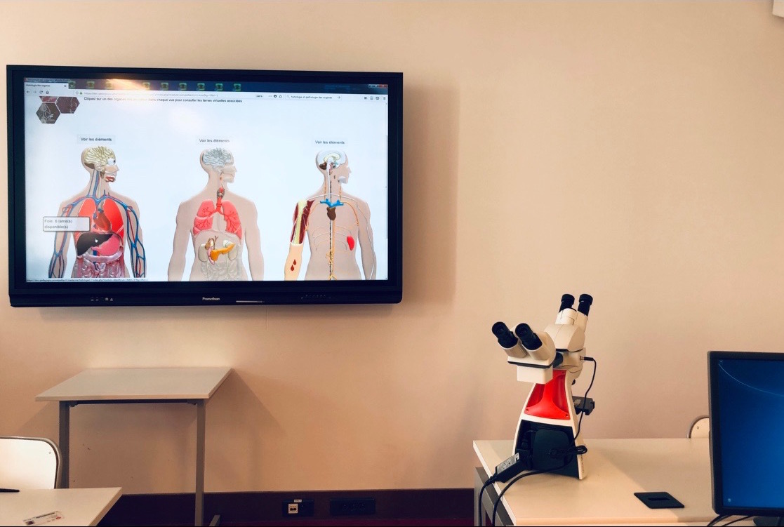 Aperçu du site internet d'hislogie et pathologie des organes. C.P : M.A